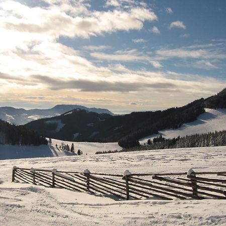 Heidi'S Schlummerkiste Am Fuss Der Teichalm Breitenau am Hochlantsch Екстериор снимка