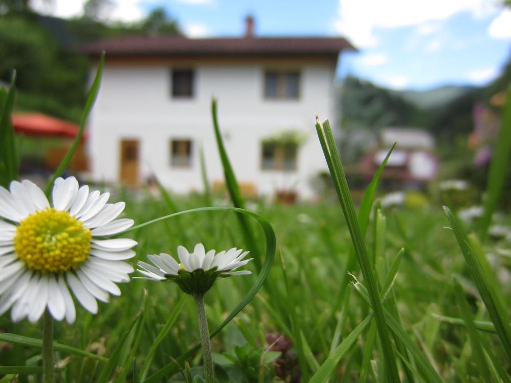 Heidi'S Schlummerkiste Am Fuss Der Teichalm Breitenau am Hochlantsch Екстериор снимка