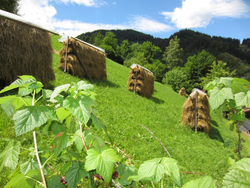 Heidi'S Schlummerkiste Am Fuss Der Teichalm Breitenau am Hochlantsch Екстериор снимка