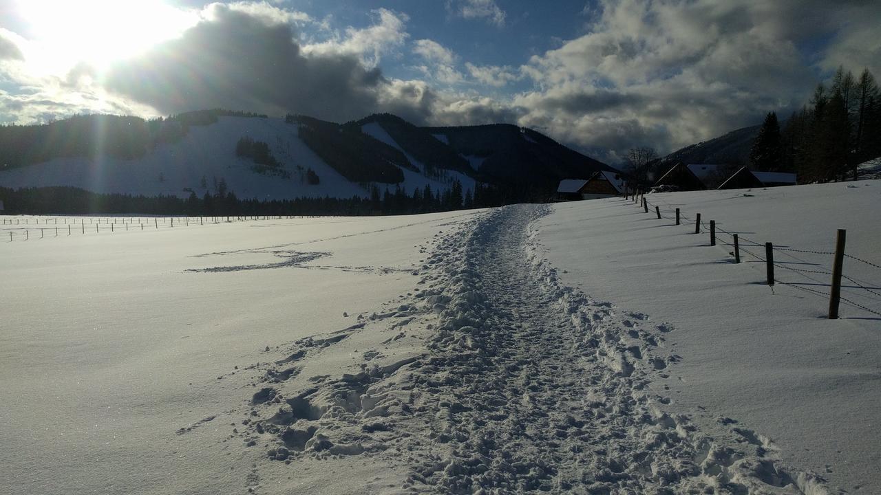 Heidi'S Schlummerkiste Am Fuss Der Teichalm Breitenau am Hochlantsch Екстериор снимка